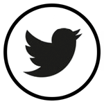 icon twitter